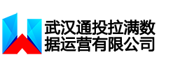 武汉通投拉满数据运营有限公司